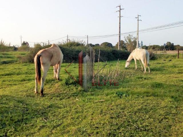 Terreno venda em Benavente, Santarém
