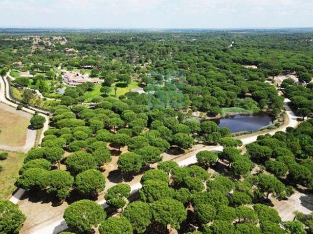 Terreno venda em Benavente, Santarém