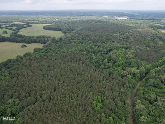 Land for sale in Vaughan, Mississippi