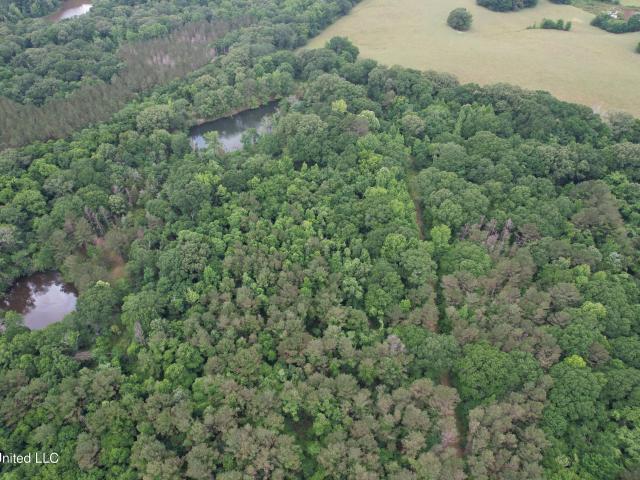 Land for sale in Vaughan, Mississippi