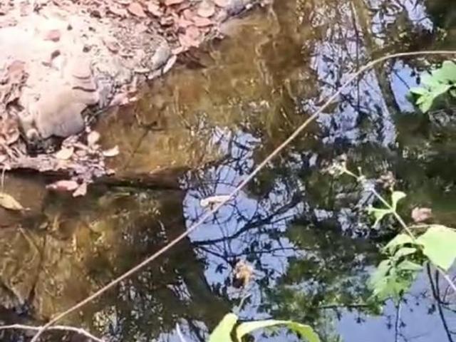 Sítio e chácara venda em Ceilândia, Distrito Federal