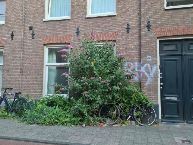Appartement te huur in Centrum, Amsterdam