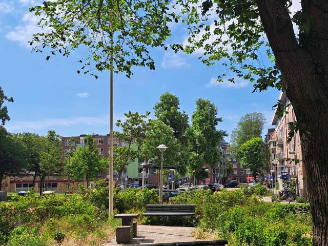 Appartement te huur in Indische Buurt, Amsterdam