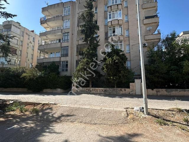 Şanlıurfa Merkez, Şanliurfa içerisinde kiralık mülk
