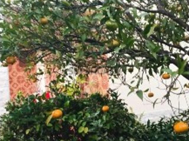 Casa venda em Quinta do Conde, Sesimbra