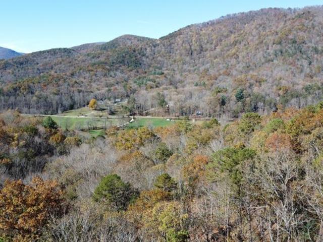 Land for sale in Clarkesville, Georgia