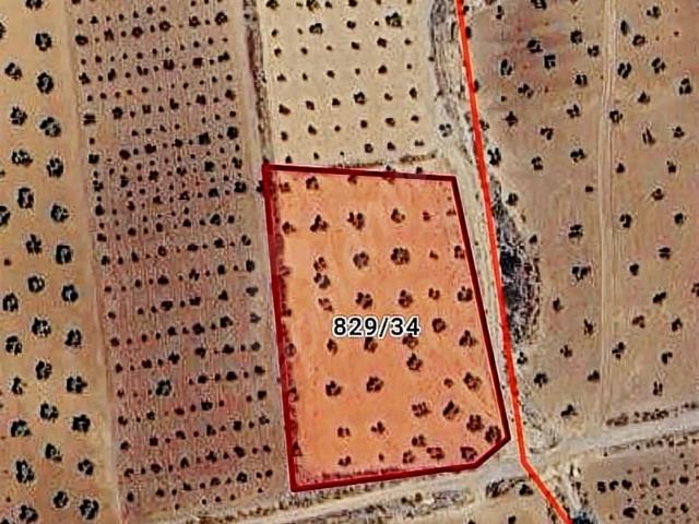 Acar, Kilis Merkez içerisinde satılık mülk