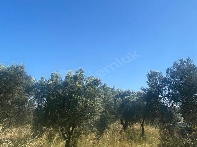 Süleymanlı, Akhisar içerisinde satılık Arsa