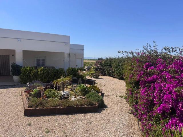 Apartamento en alquiler en el Baix Maestrat, Valencia