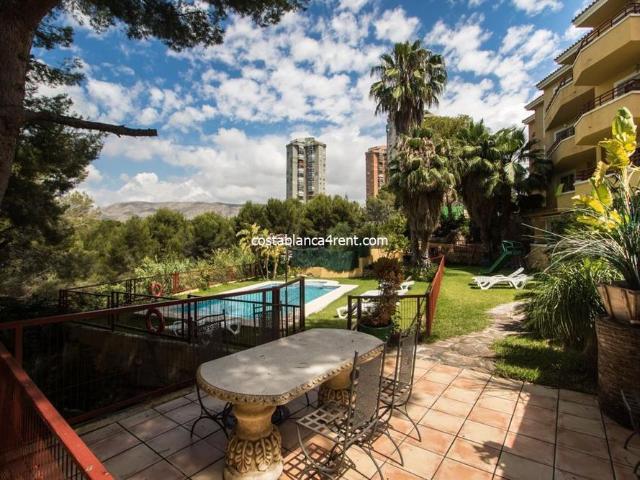 Apartamento en alquiler en Benidorm, Valencia