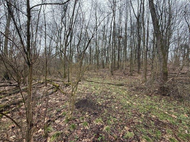 Land for sale in New Castle, Pennsylvania