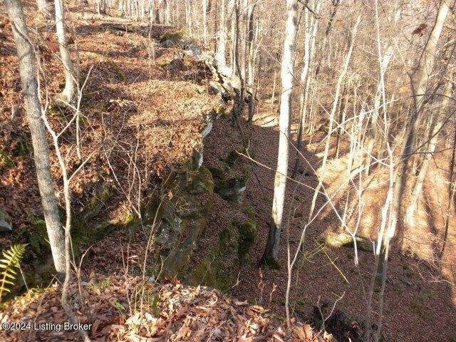 Land for sale in Bowling Green