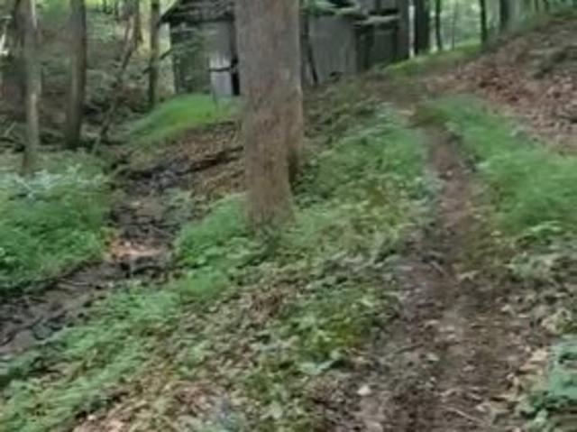 Land for sale in Yancey, North Carolina