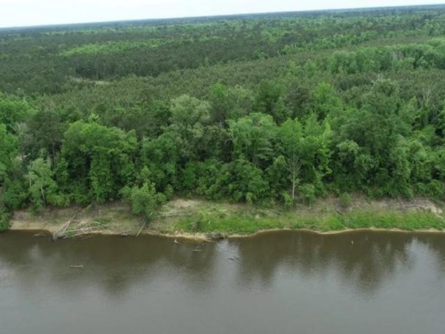 Land for sale in Merryville, Beauregard Parish