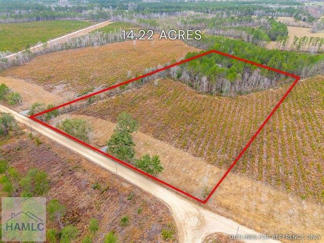Land for sale in Brooklet, Georgia