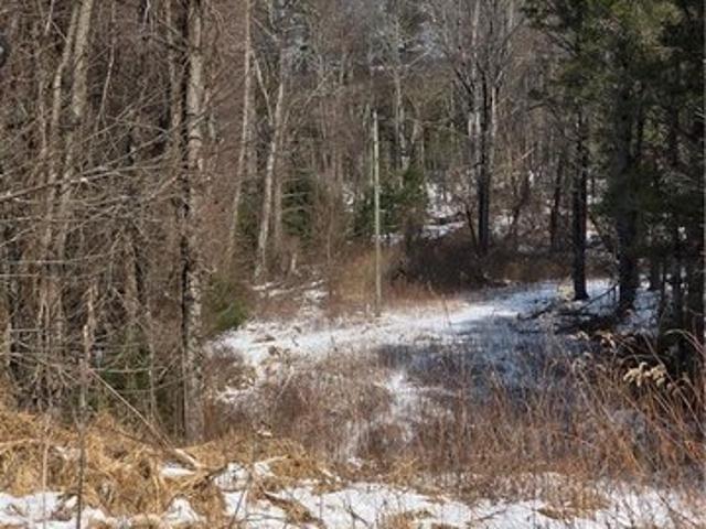 Land for sale in Alleghany, North Carolina