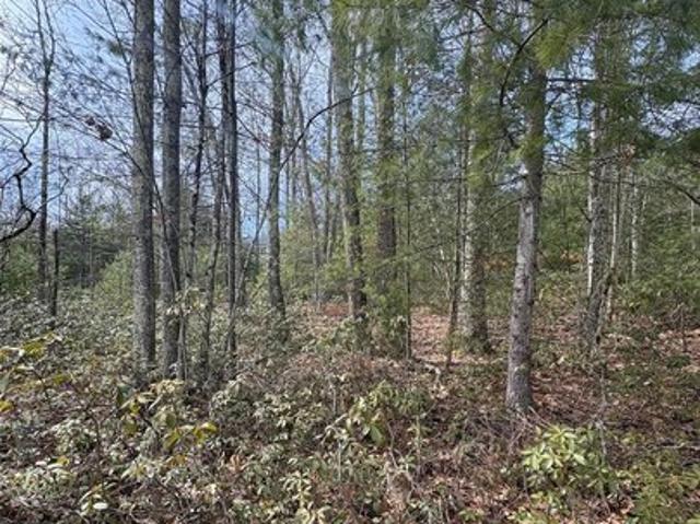Land for sale in Accord, New York