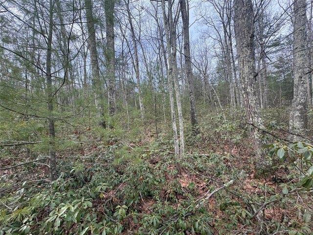 Land for sale in Accord, New York