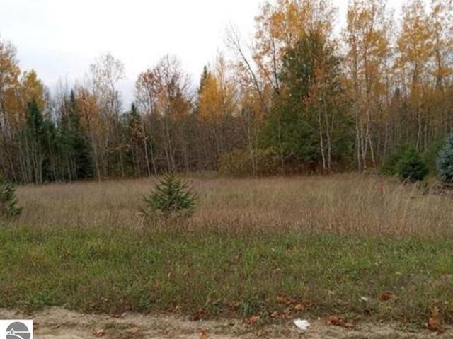 Land for sale in Williamsburg, Michigan