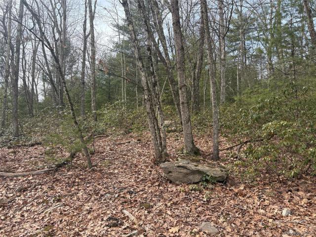 Land for sale in Accord, New York
