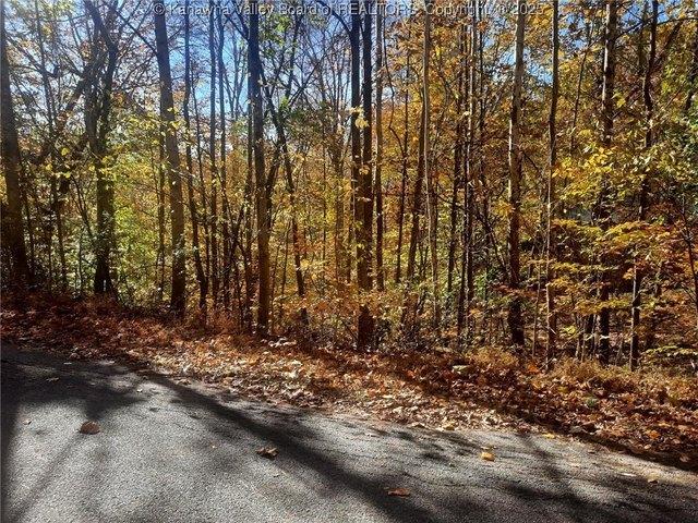 Land for sale in West Virginia