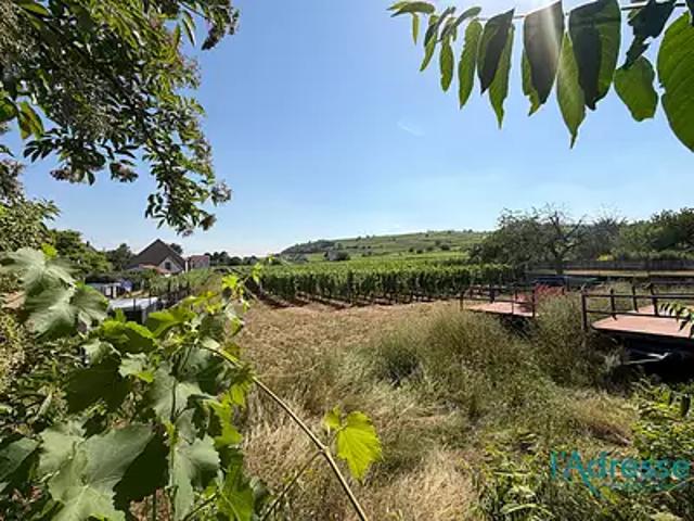 Terrain vente à Bennwihr, Collectivité européenne d'Alsace