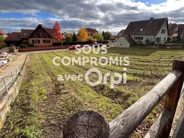 Terrain vente à Bennwihr, Collectivité européenne d'Alsace