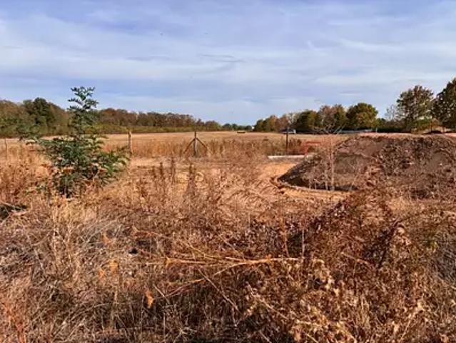 Terrain vente à Bennwihr, Collectivité européenne d'Alsace