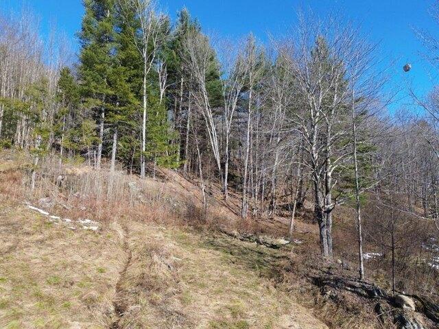 Land for sale in Warren, Vermont