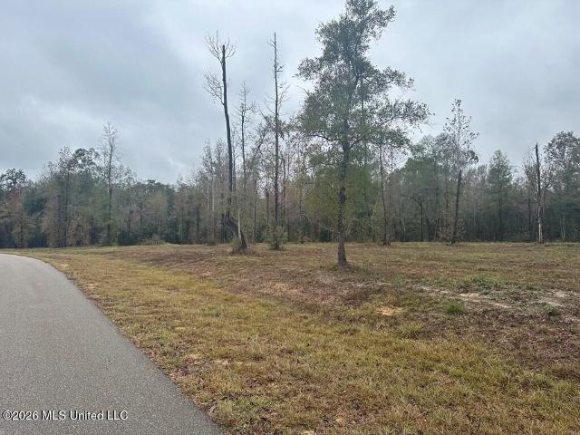 Land for sale in Picayune, Mississippi
