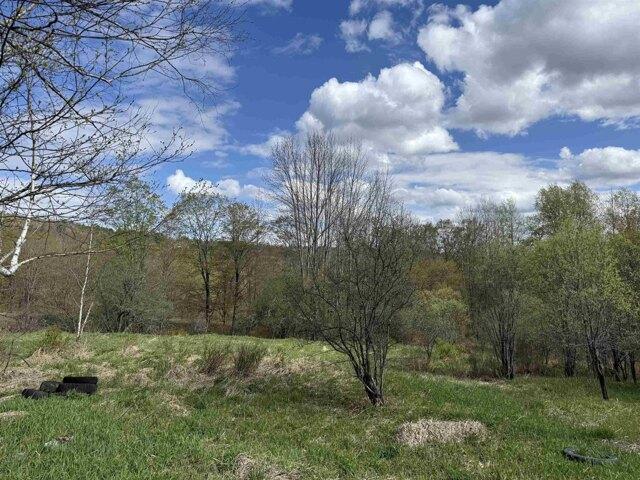 Land for sale in Vermont