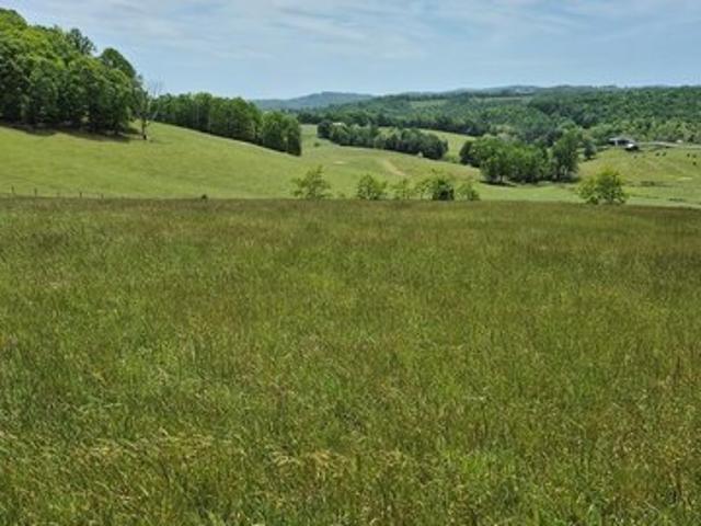 Land for sale in Virginia