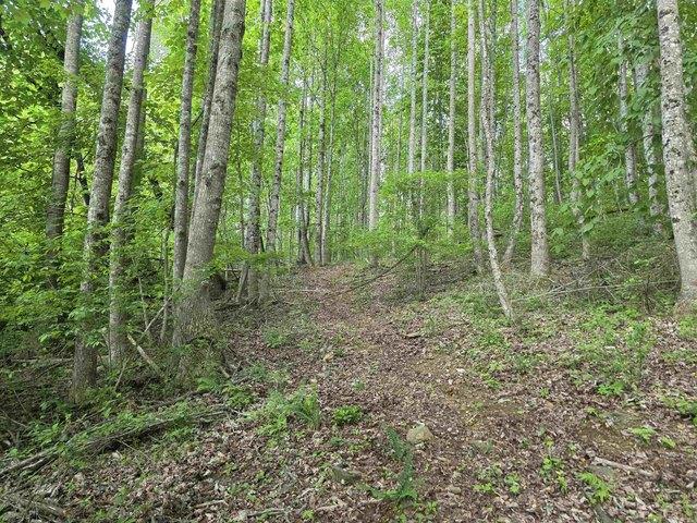 Land for sale in Virginia
