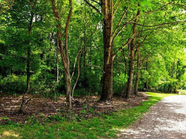 Land for sale in Virginia