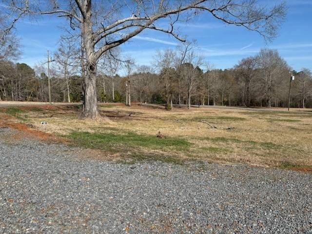 Land for sale in Many, Louisiana