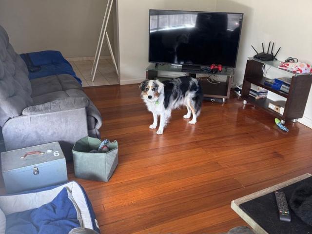 Room for rent in Bentleigh East, Melbourne