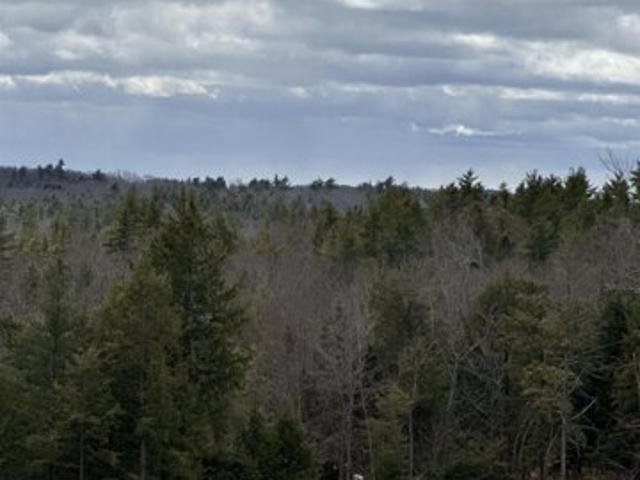 Land for sale in New Hampshire