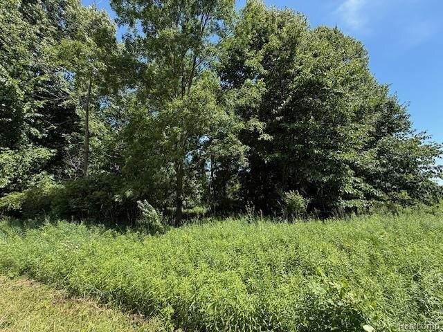 Land for sale in Brown City