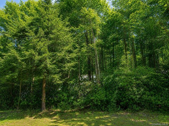 Land for sale in Neversink, New York