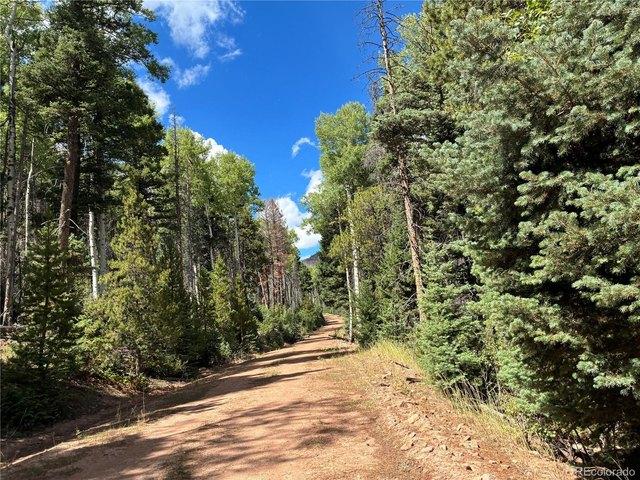 Land for sale in Fort Garland, Costilla County