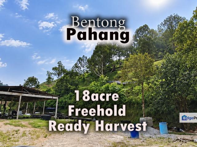 Shop for sale in Pahang