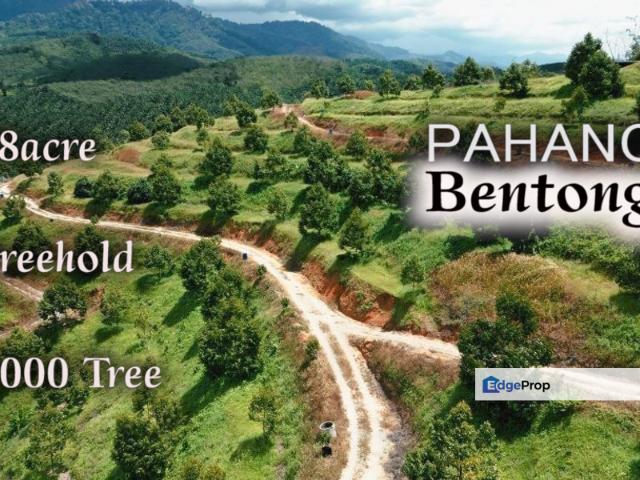 Shop for sale in Pahang