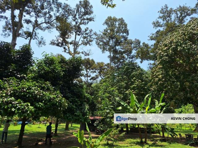 Shop for sale in Pahang