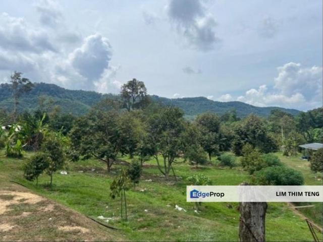 Shop for sale in Pahang