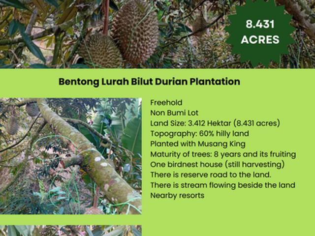 Shop for sale in Pahang