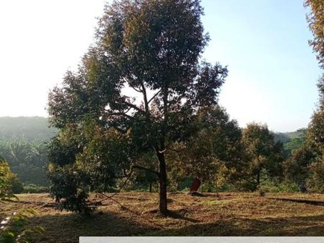 Shop for sale in Taman Chegar Medang, Bentong