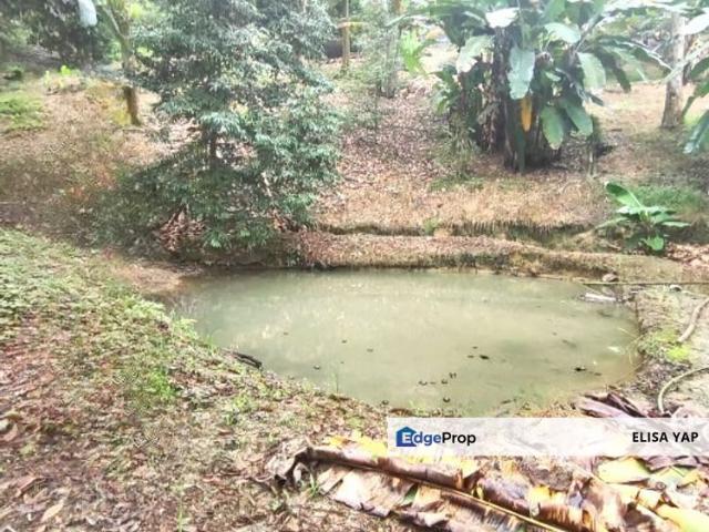Shop for sale in Pahang
