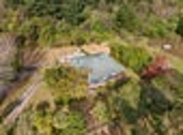 House for sale in Cape Palliser, Wellington