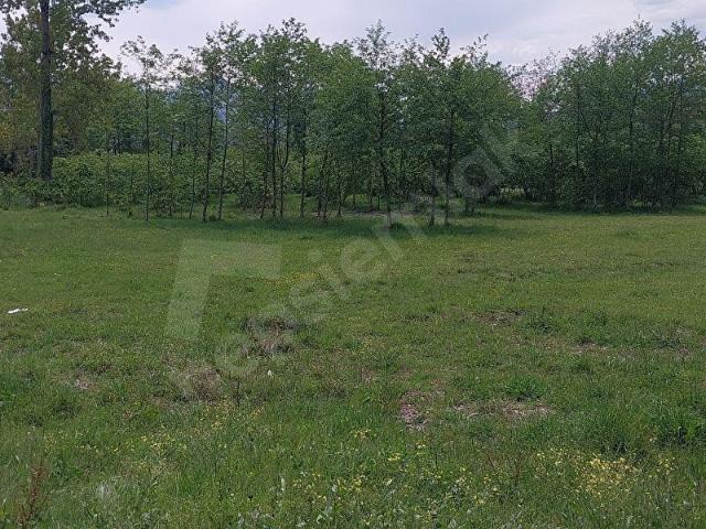 Arakli, Trabzon içerisinde satılık Arsa
