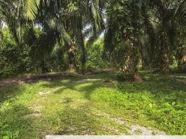 Shop for sale in Perak, Tanjong Ipoh